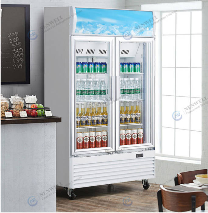 How to choose an upright freezer?